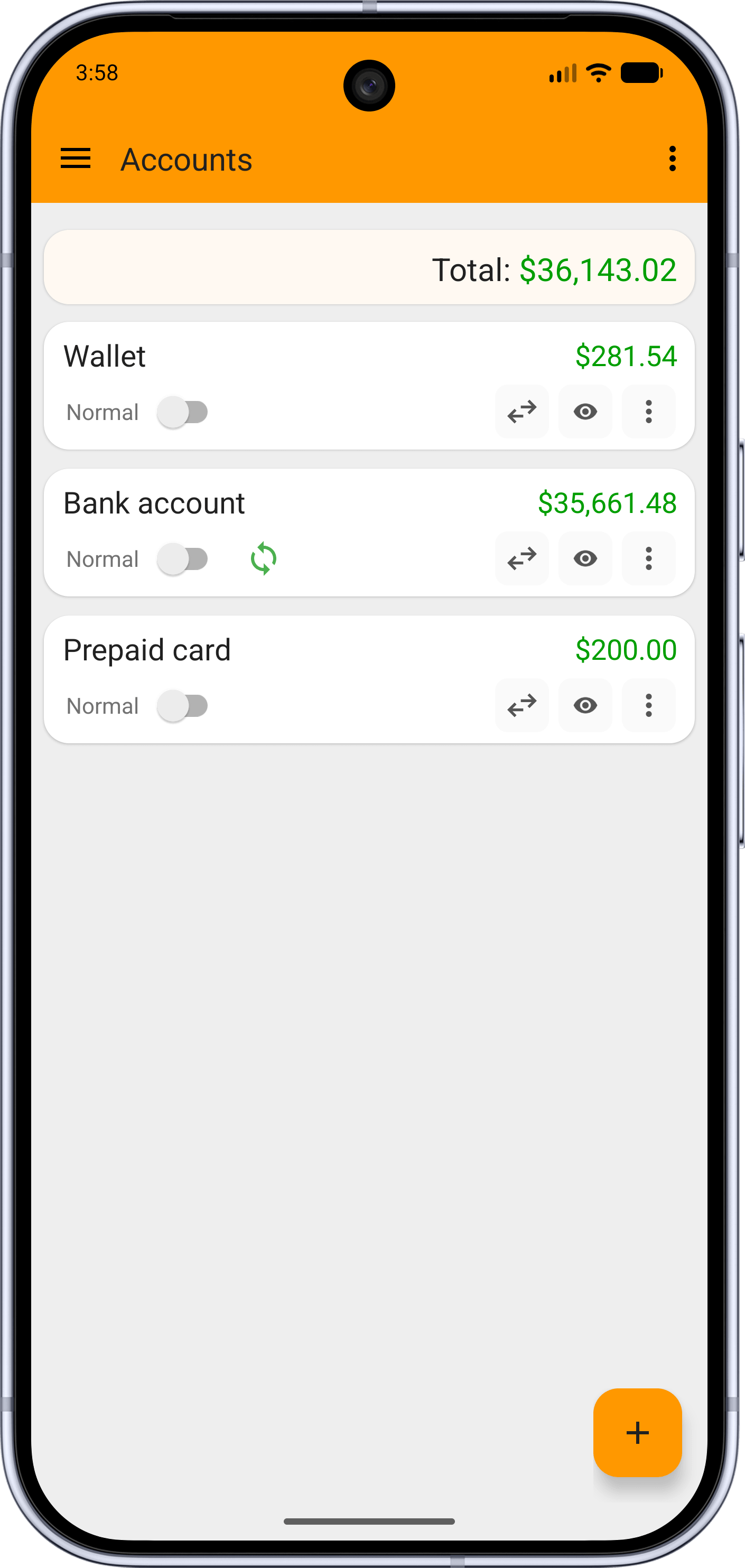 Fast Budget Accounts screen with bank accounts, balances and charts